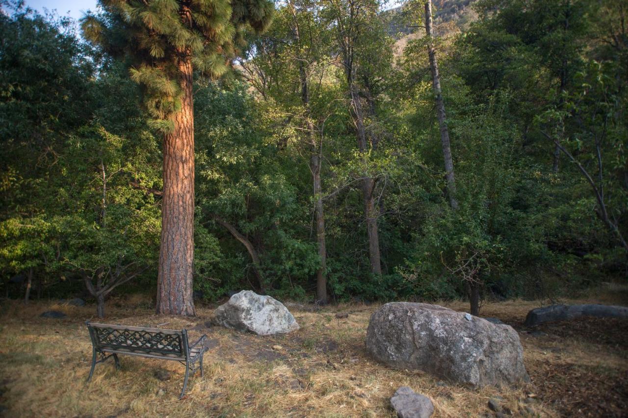 Quiet Mind Lodge, Spa & Retreat Sequoias 컨빌 외부 사진