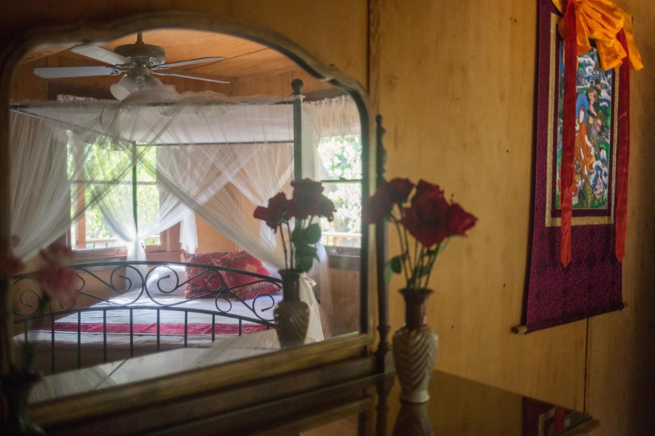 Quiet Mind Lodge, Spa & Retreat Sequoias 컨빌 외부 사진