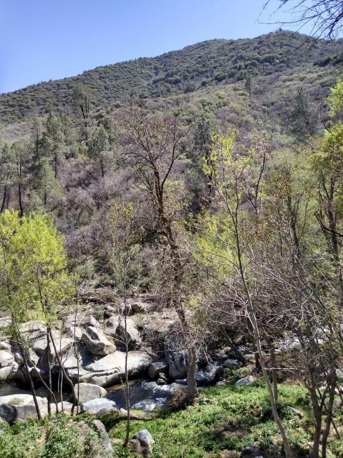 Quiet Mind Lodge, Spa & Retreat Sequoias 컨빌 외부 사진