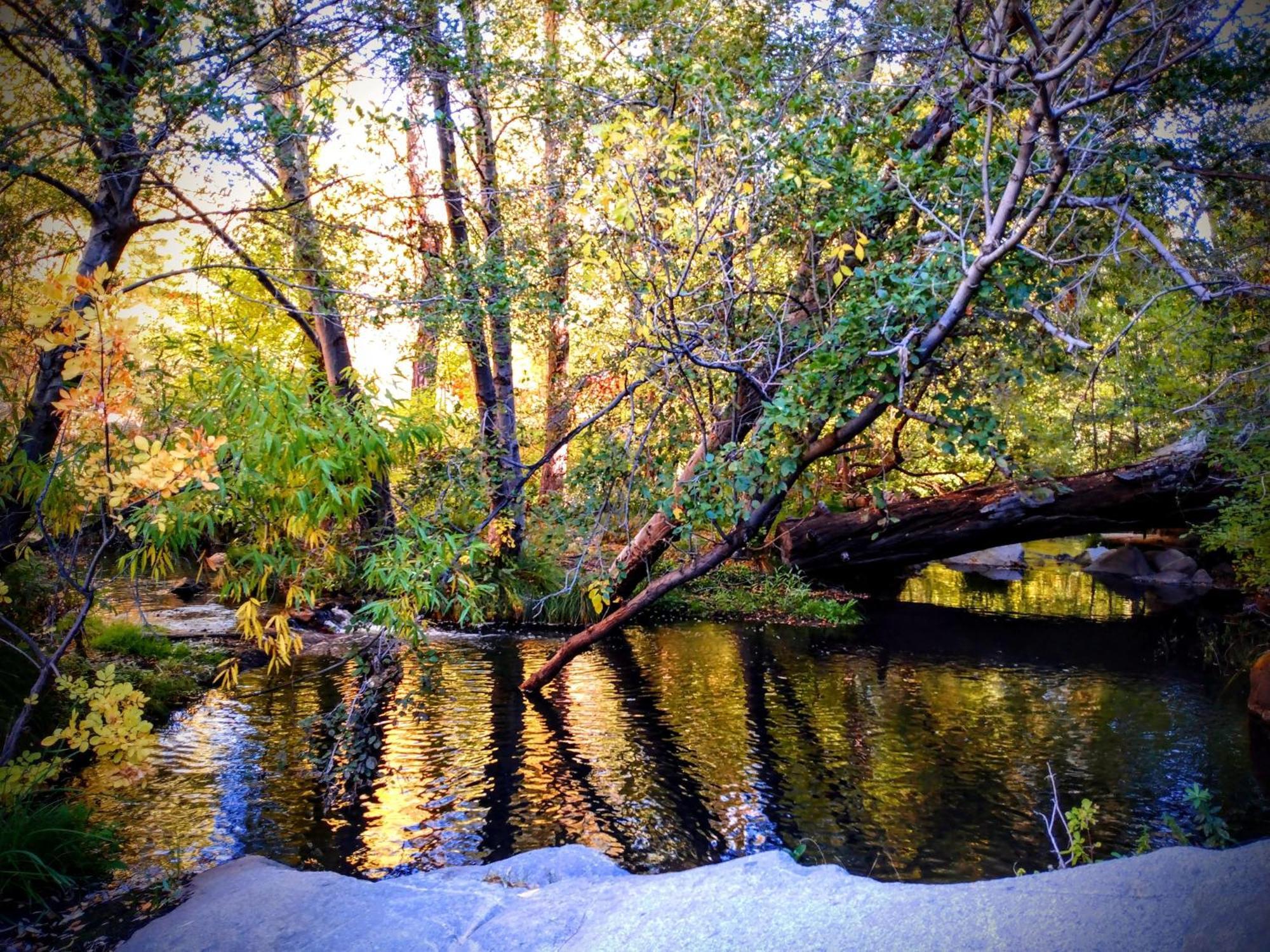 Quiet Mind Lodge, Spa & Retreat Sequoias 컨빌 외부 사진